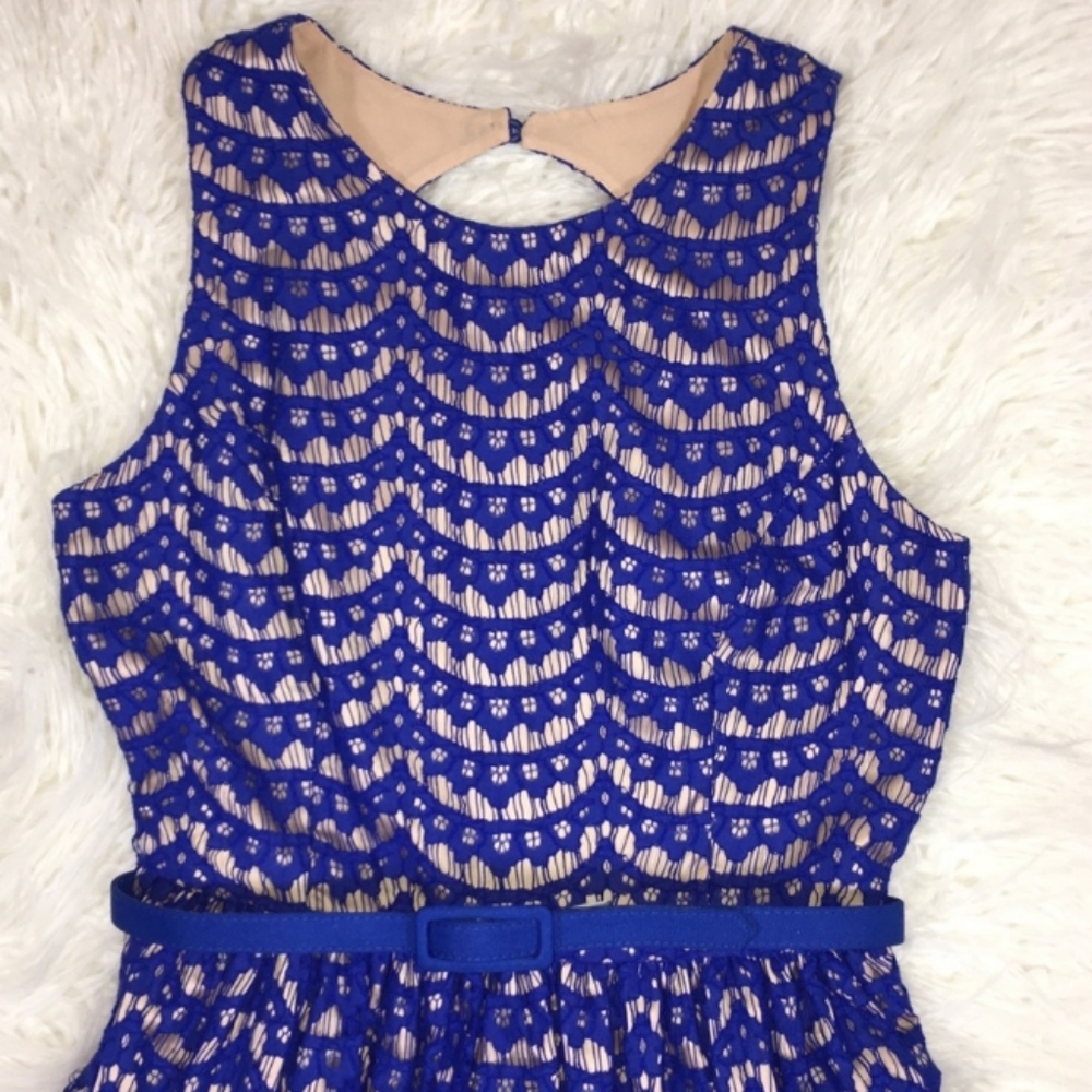 Eliza J Blue Lace Cobolt Blue Fit Flare Dress 14 - Picture 4 of 14